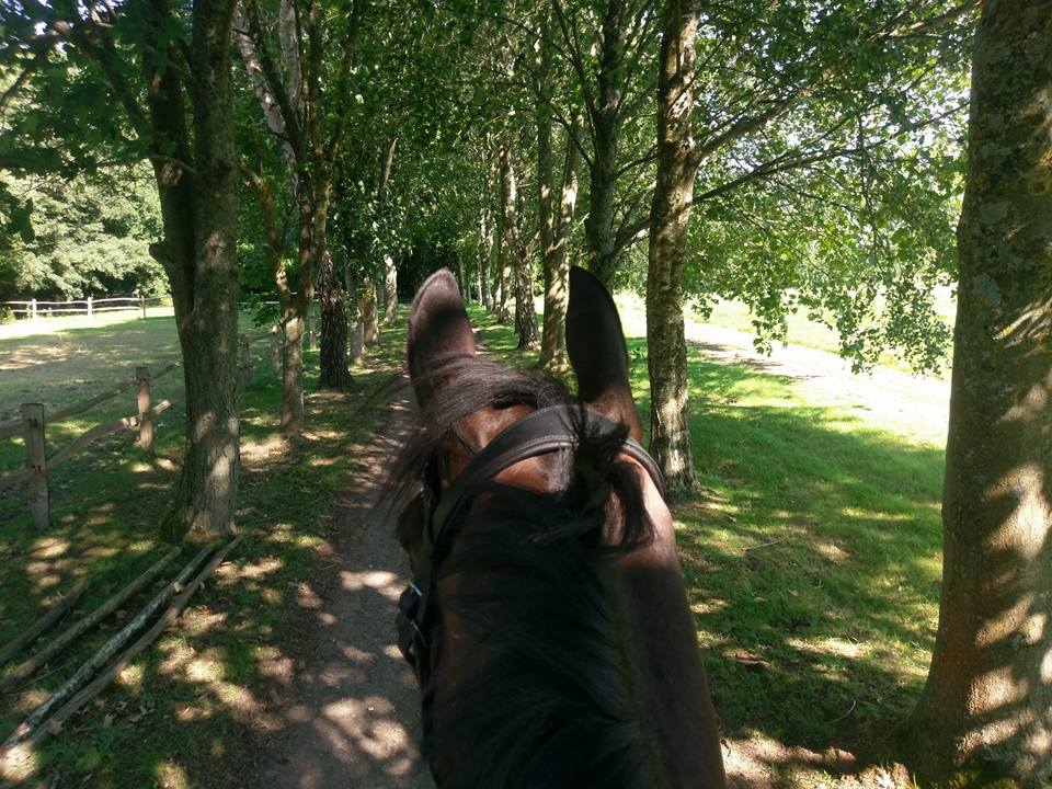 Improving Rider Confidence Exercise 1 - Using a past memory