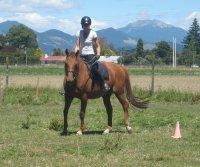 Confident Horse Rider