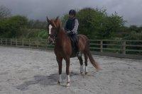 Confident Horse Rider